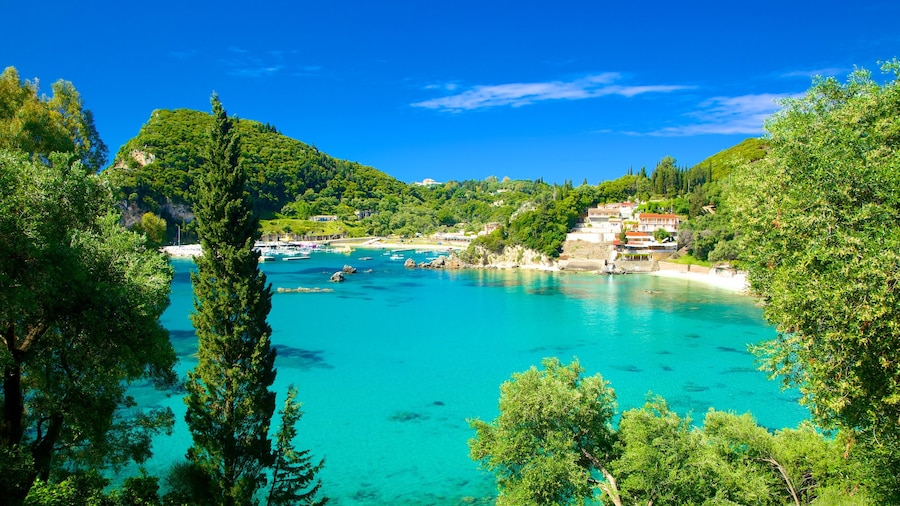 Playa de Paleokastritsa ofreciendo vistas generales de la costa
