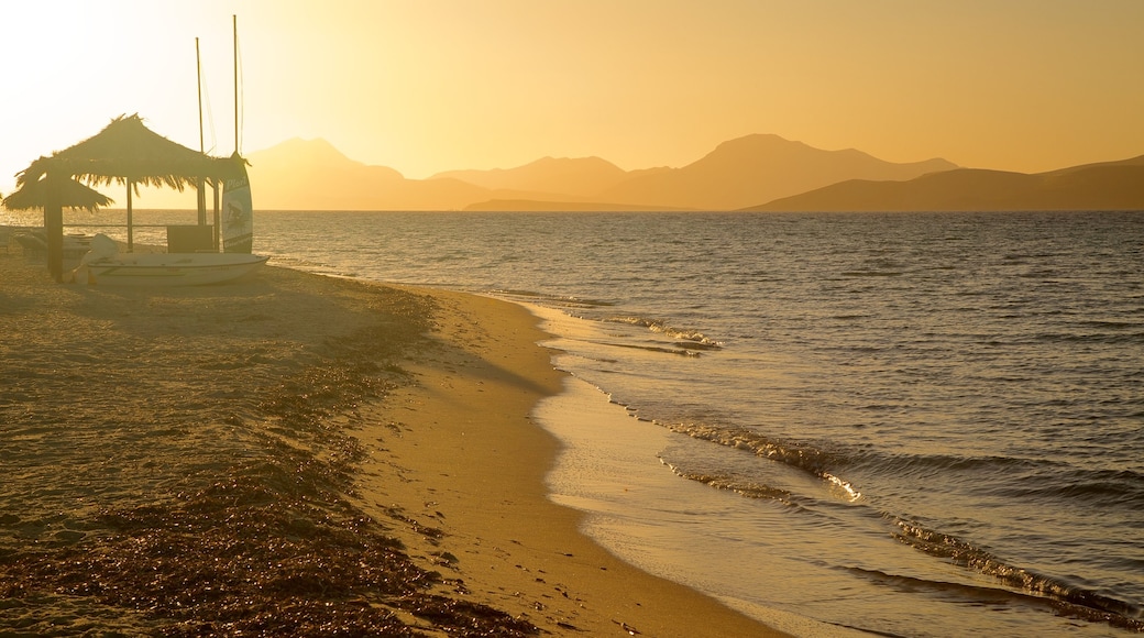 Tigaki Beach som omfatter en strand og en solnedgang