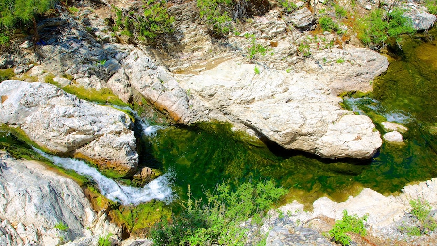 Seven Springs featuring rapids and a river or creek