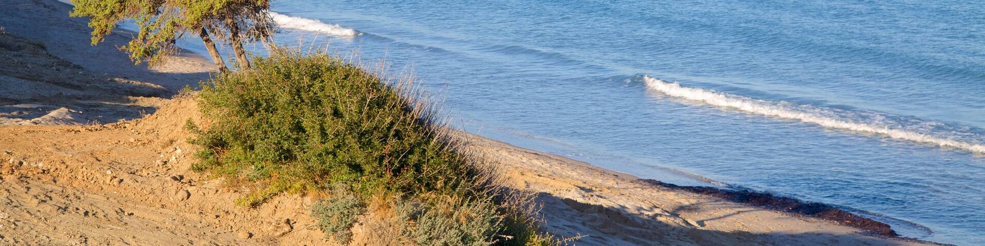 Paradise Beach featuring a beach and general coastal views