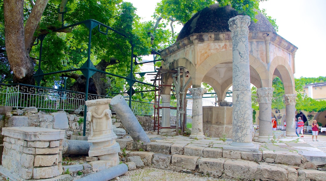 Tree of Hippocrates featuring heritage architecture and building ruins