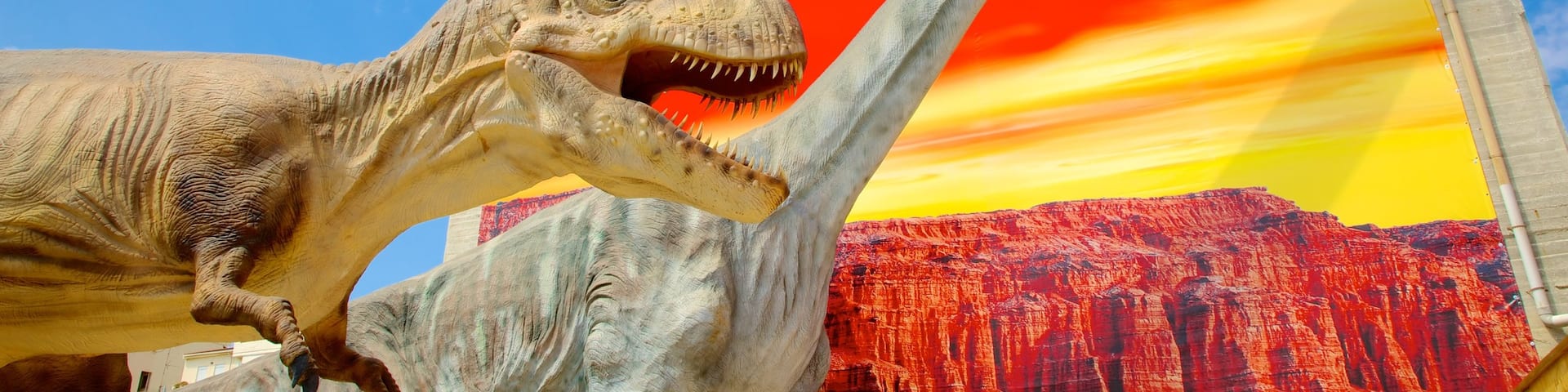 Musée d\'histoire naturelle de la CrÚte
