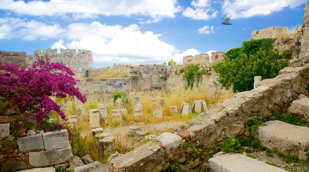 Castillo de Kos que incluye ruinas de edificios