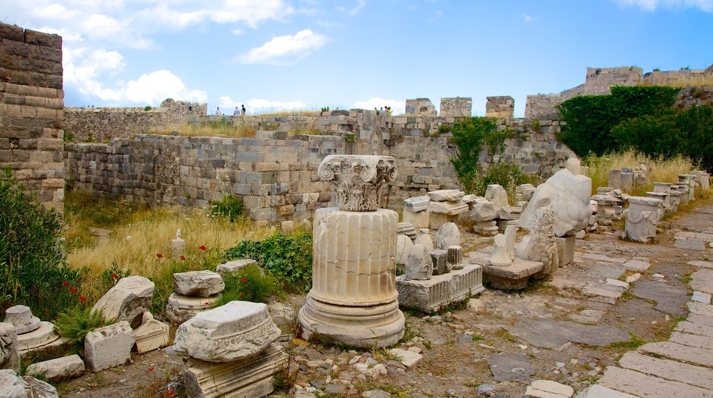 Kos Castle showing a ruin