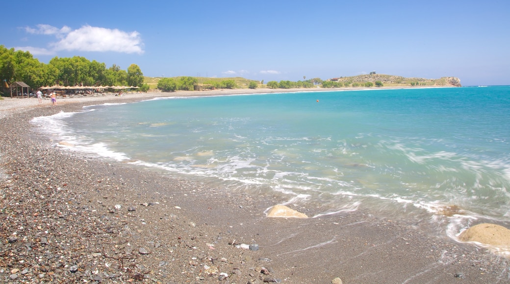 Psalidi