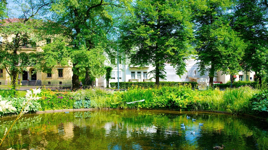 Palace Park caratteristiche di laghetto
