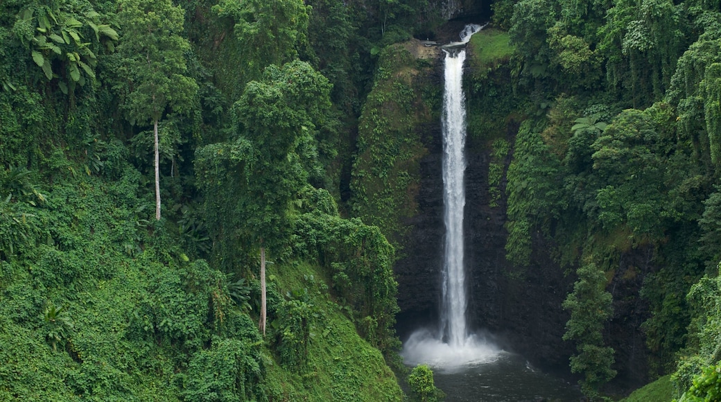 Samoa showing forests, a river or creek and a cascade