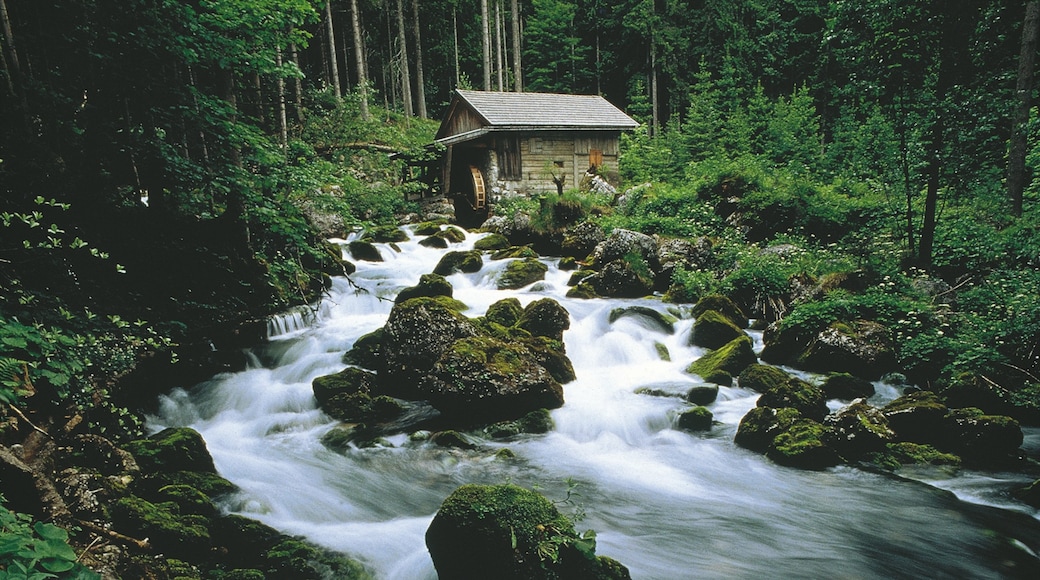 Photo fournie par © Austrian National Tourist Office/ Trumler