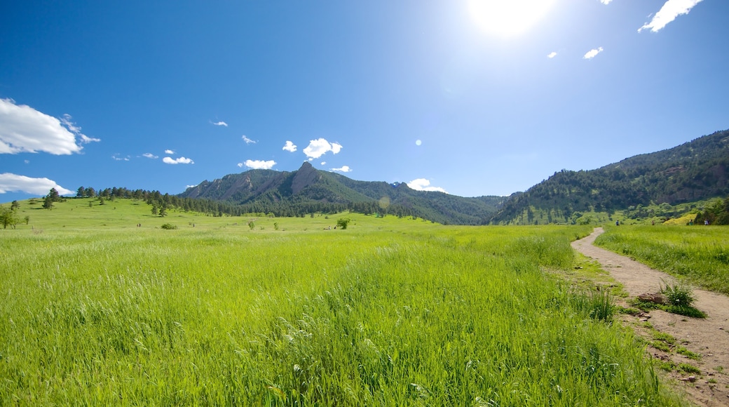 Chautauqua Park che include paesaggi rilassanti