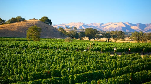 Santa Barbara