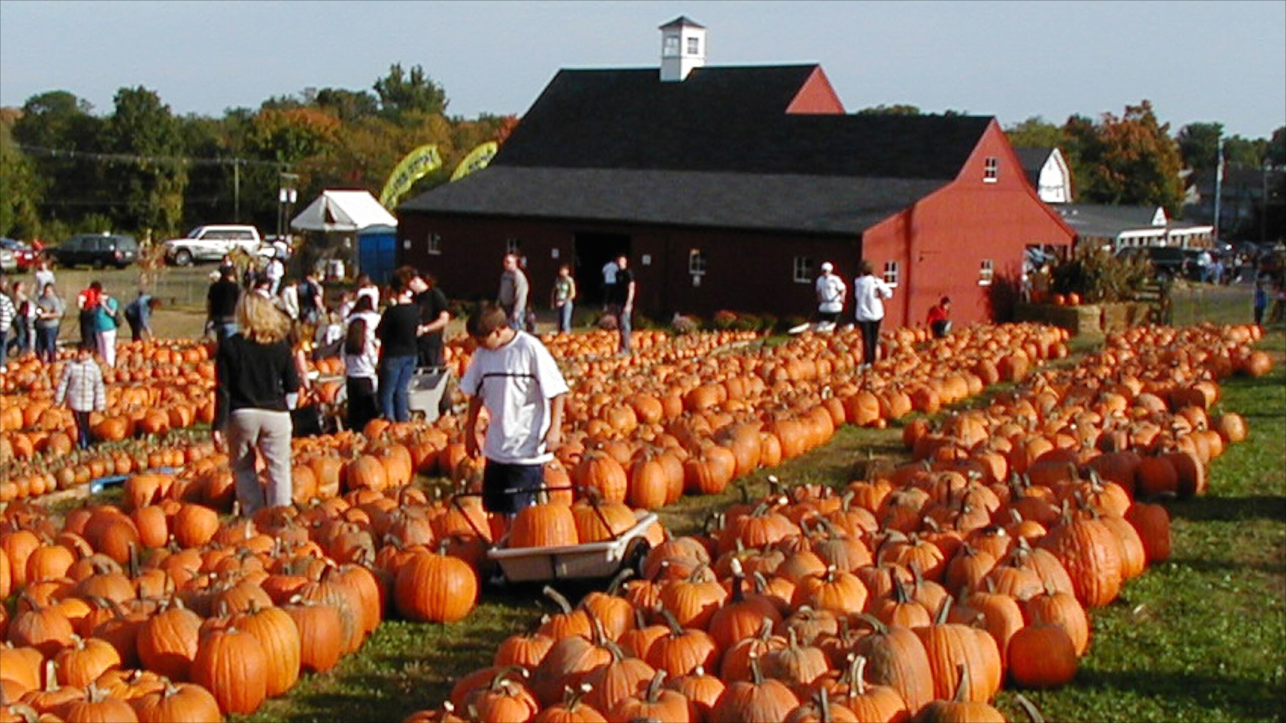 Car Rental Connecticut Cheap Connecticut Car Rental Deals Expedia