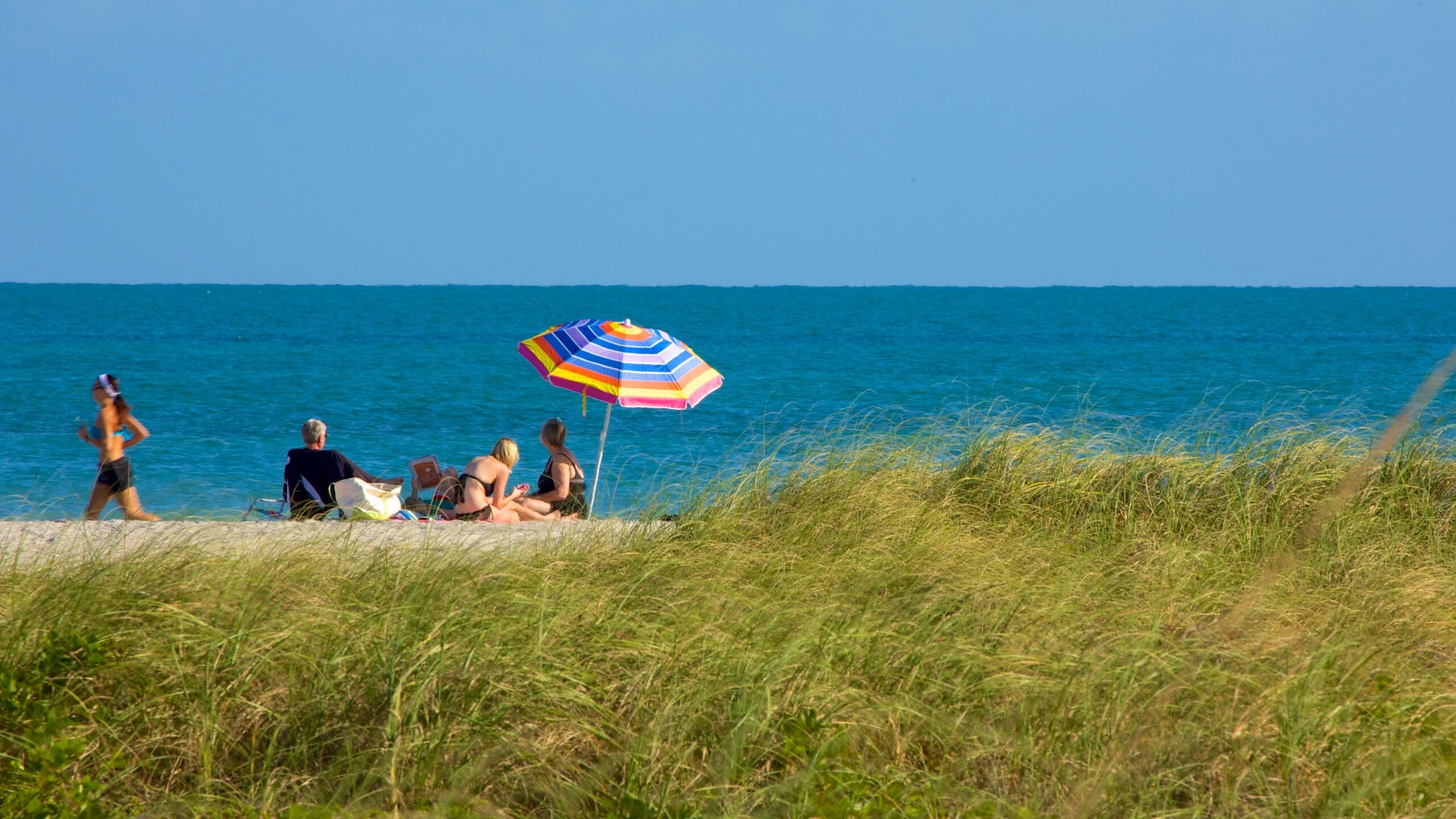 Florida showing general coastal views