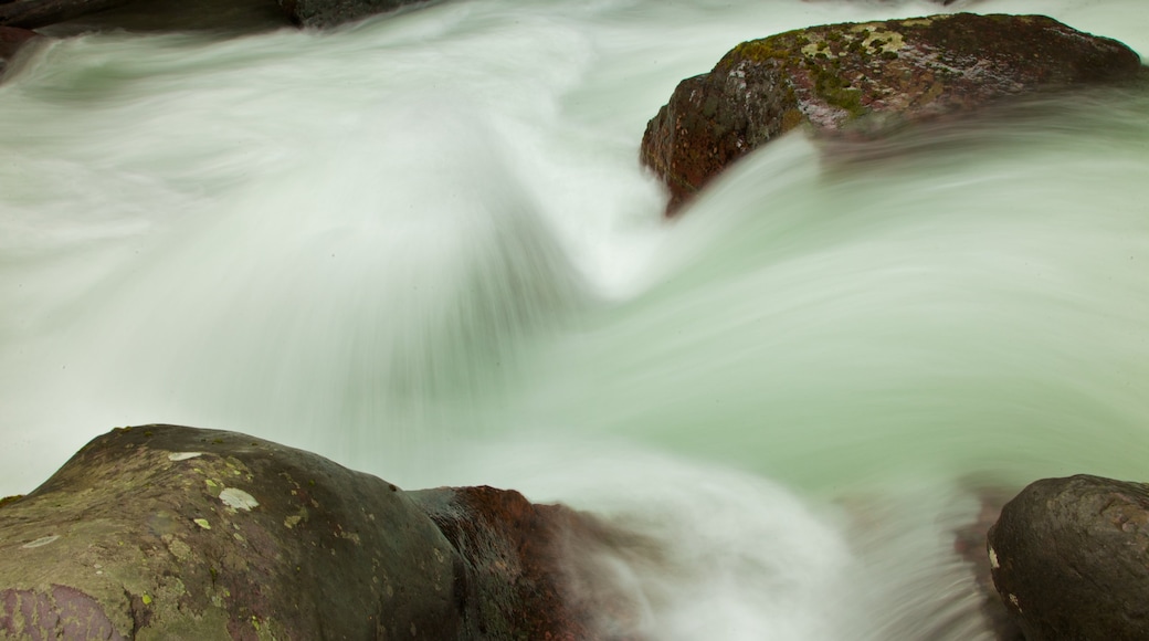 Western Montana showing rapids