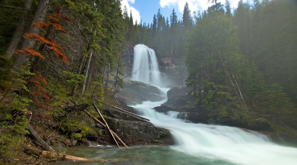 Glacier National Park which includes a river or creek, forest scenes and a waterfall