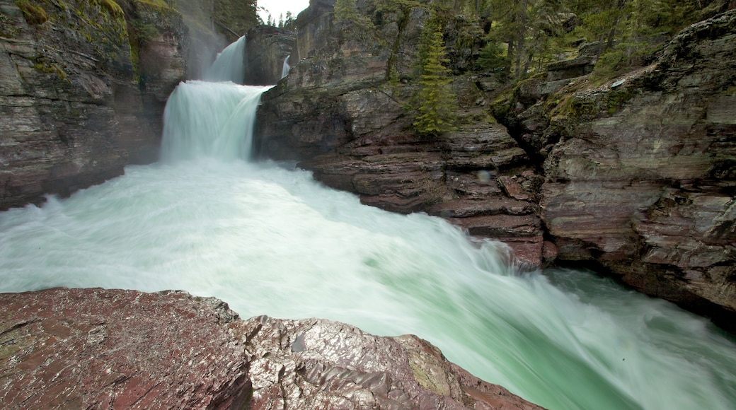 Glacier National Park featuring a river or creek and a waterfall