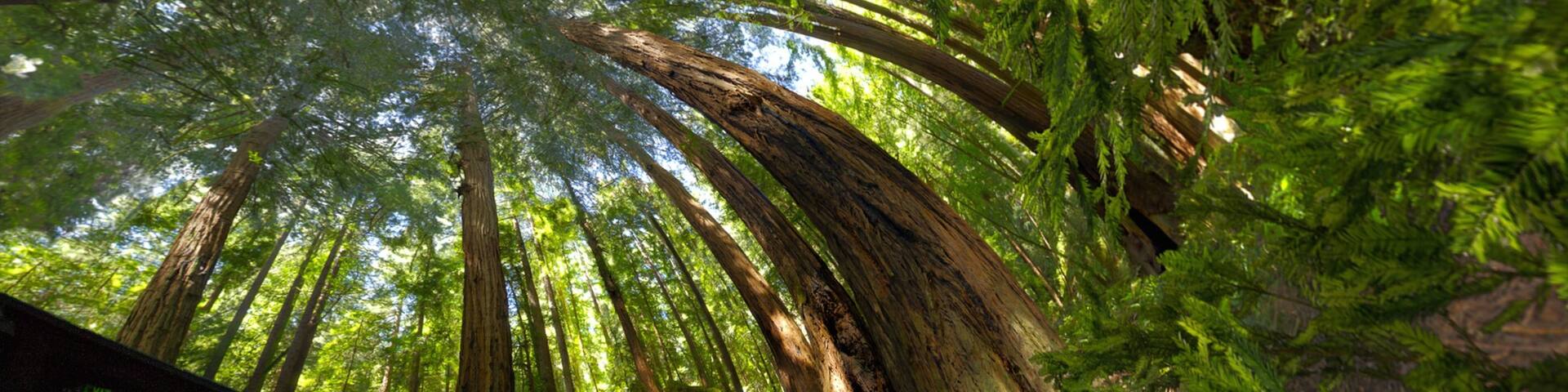 Fort Collins Museum of Discovery showing interior views