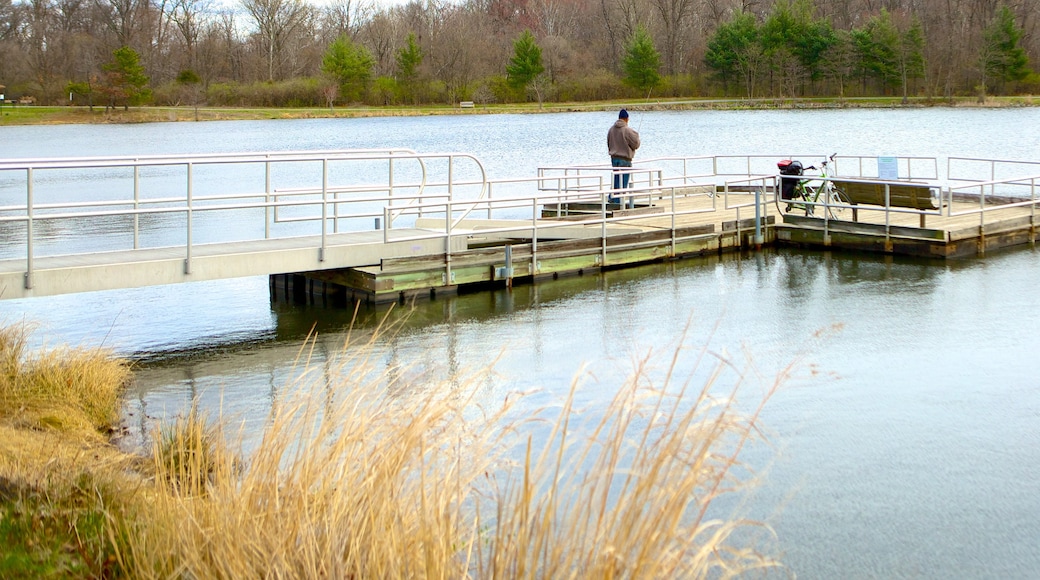 Lake Artemesia que incluye un lago o laguna