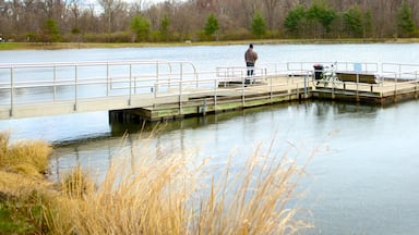 Lake Artemesia que incluye un lago o laguna