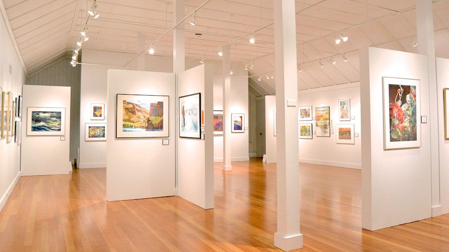 Bush Barn Art Center montrant art