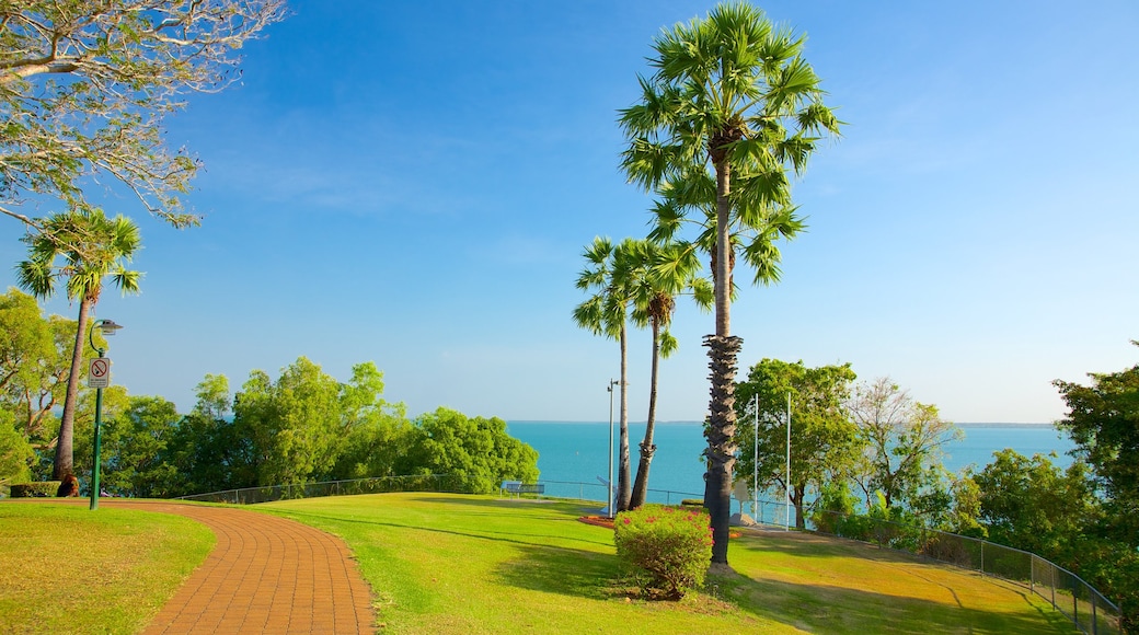 Bicentennial Park featuring a park and tropical scenes