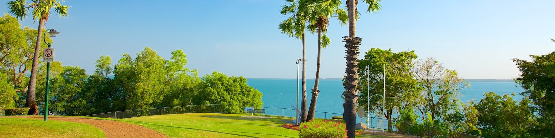 Bicentennial Park montrant jardin et scĂšnes tropicales