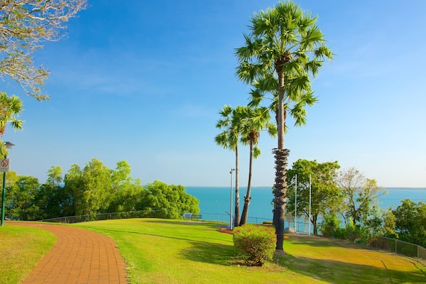 Bicentennial Park showing a park and tropical scenes
