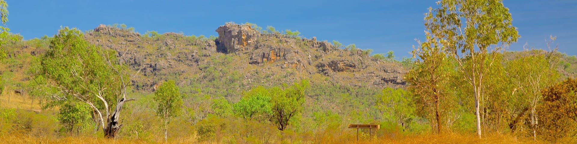 Kakadu National Park showing farmland
