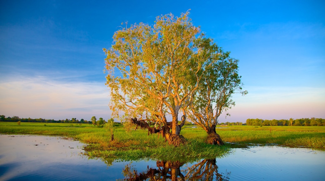 Kakadu National Park som inkluderar träsk