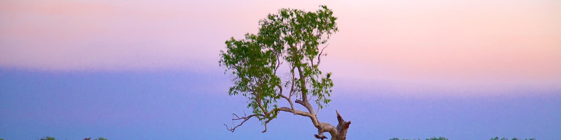 Kakadu National Park which includes a sunset