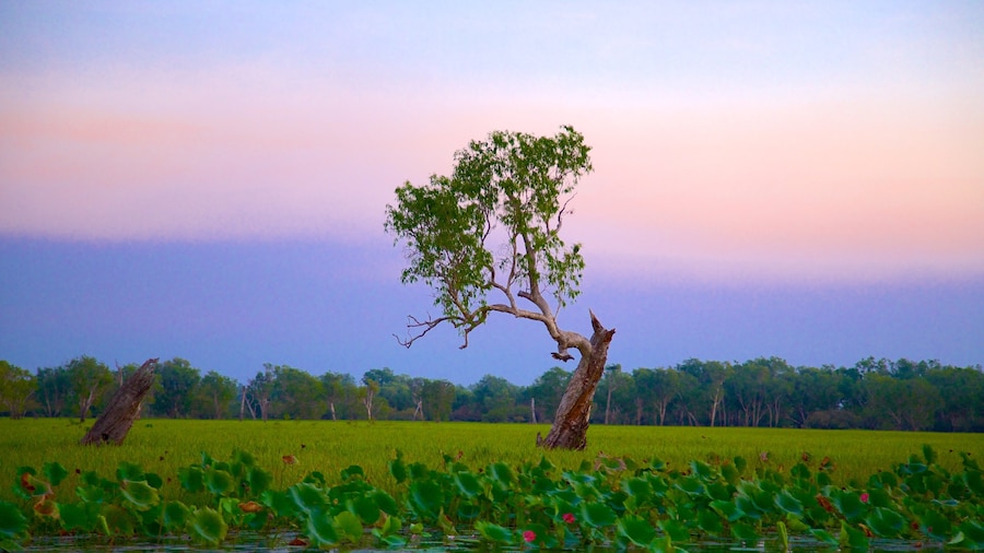 Kakadu National Park which includes a sunset