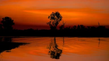 Kakadu National Park which includes a lake or waterhole and a sunset