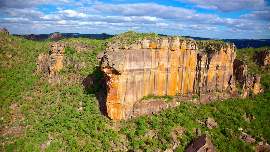Parco Nazionale di Kakadu