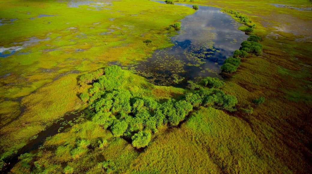 อุทยานแห่งชาติ Kakadu เนื้อเรื่องที่ พื้นที่ชุ่มน้ำ