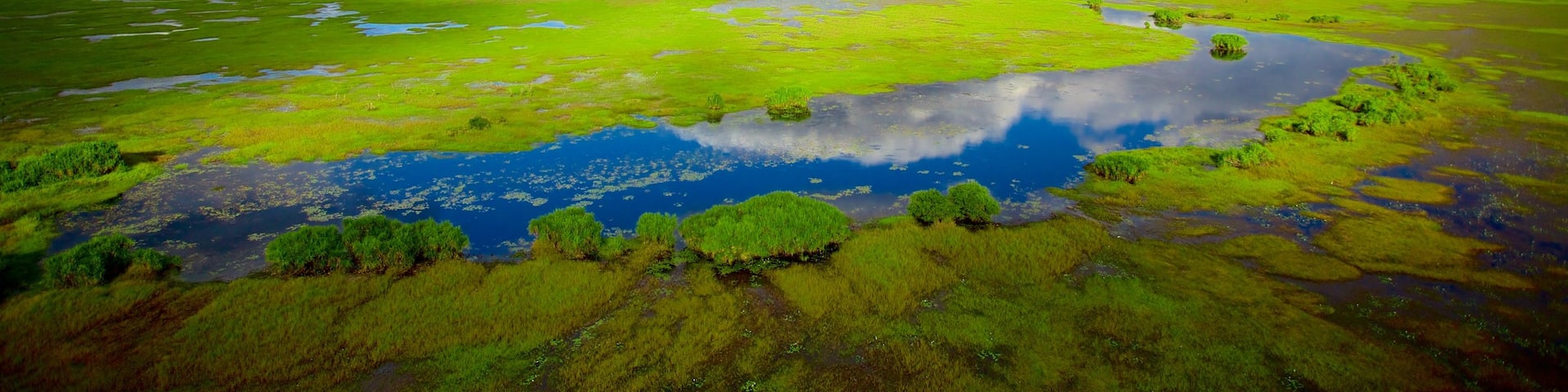 Kakadu National Park showing wetlands