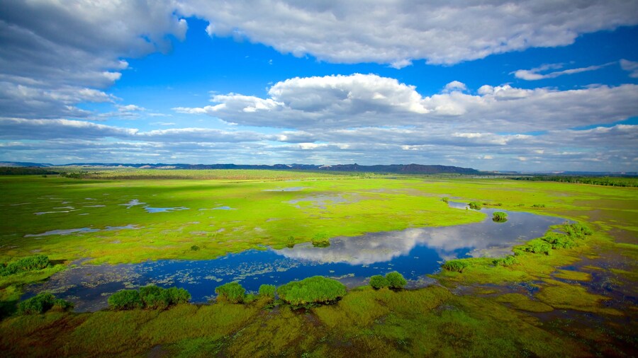 Kakadu National Park which includes wetlands