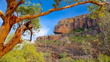 Nourlangie Rock