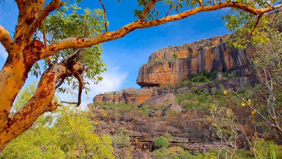 Nourlangie Rock