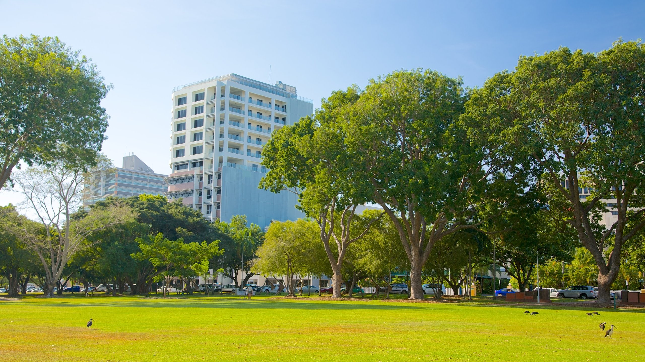 Bicentennial Park Tours and Activities Expedia