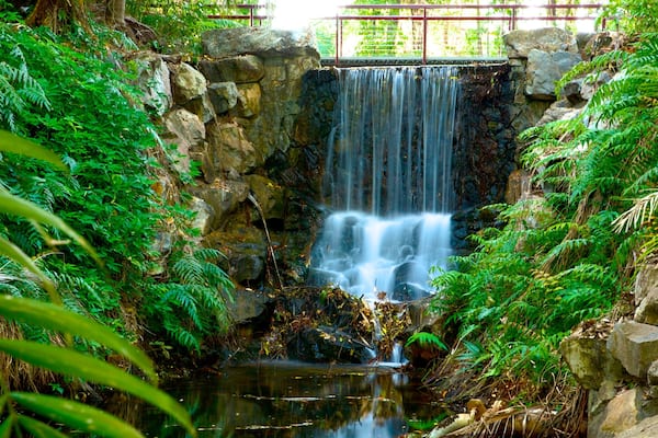 George Brown Darwin Botanic Gardens which includes a waterfall