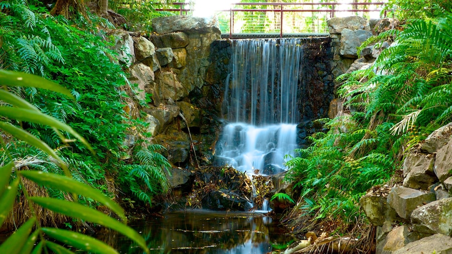 Jardins botaniques George Brown Darwin montrant chute d\'eau