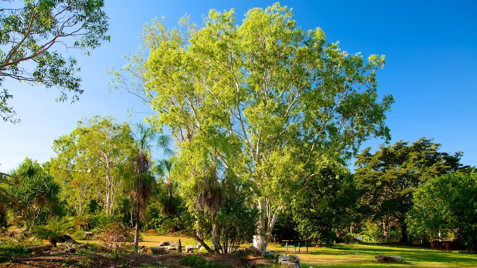 George Brown Darwin Botanic Gardens which includes a garden