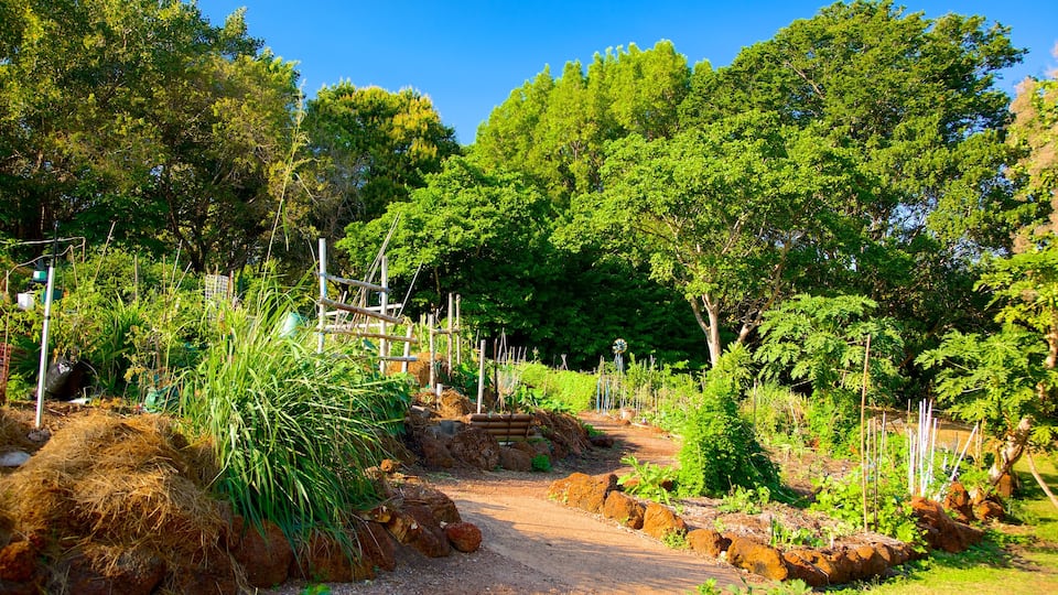 George Brown Darwin Botanic Gardens showing a park