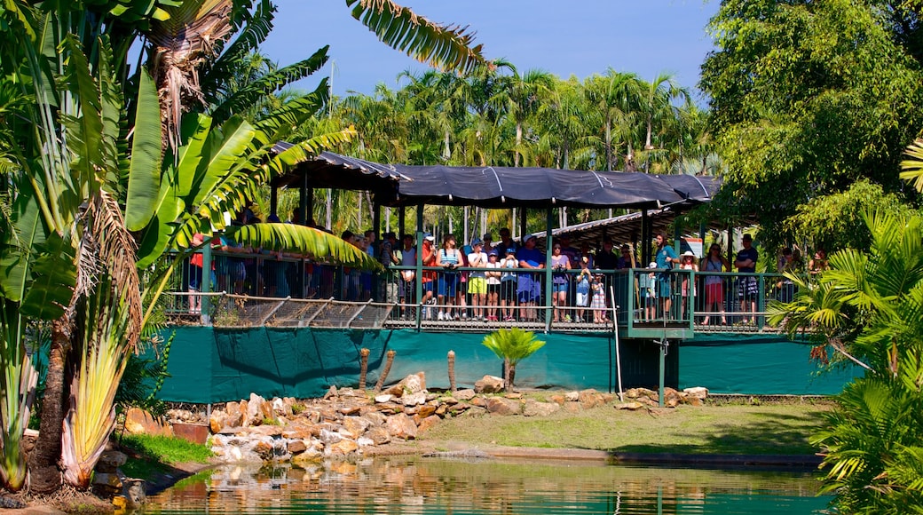 Crocodylus Park featuring views as well as a large group of people