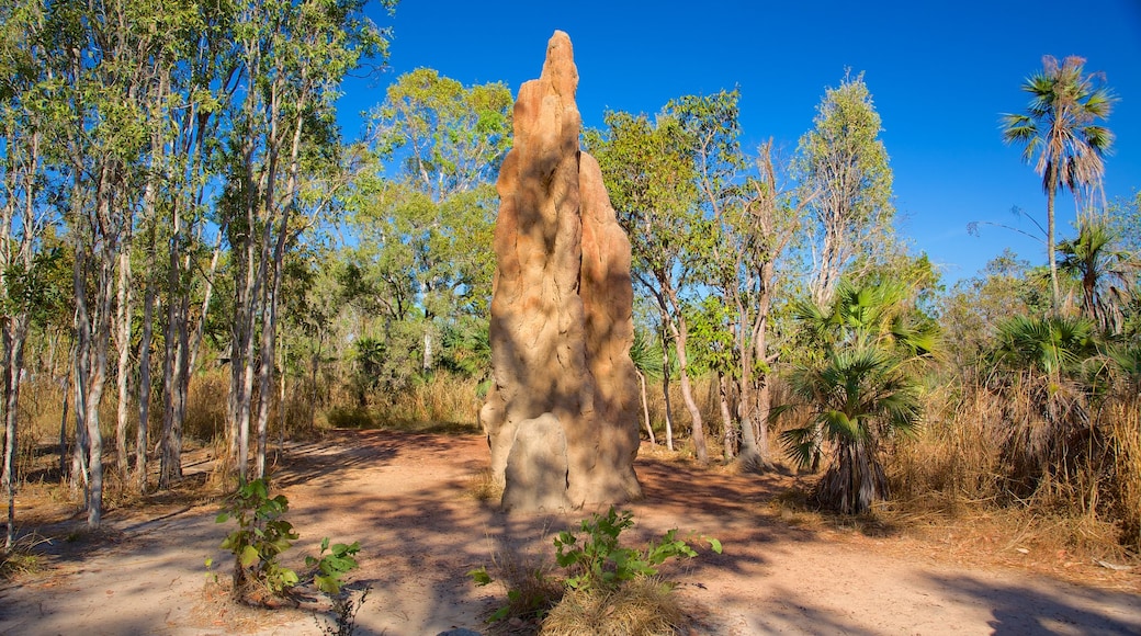 Litchfield National Park showing tranquil scenes, art and landscape views