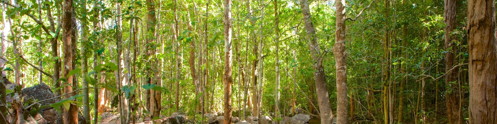 Litchfield National Park featuring landscape views