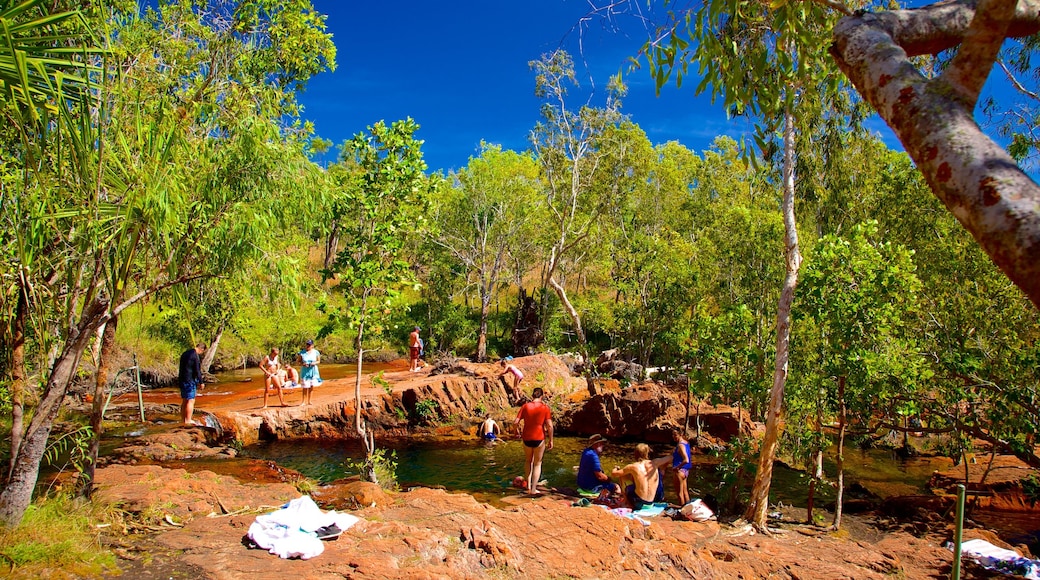 Litchfield Park showing a pond as well as a small group of people