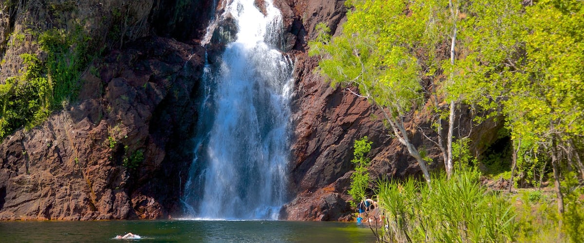 Litchfield National Park showing a cascade and landscape views