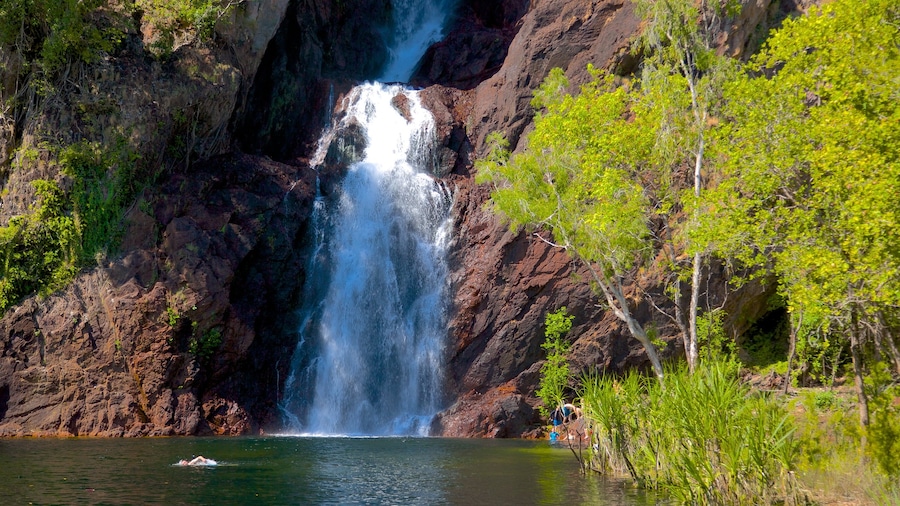 Parque Nacional Litchfield ofreciendo una cascada y vistas panorámicas