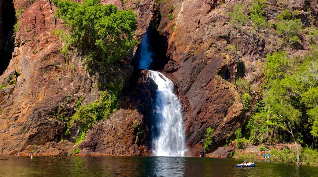 Litchfield National Park que inclui paisagem e uma cachoeira