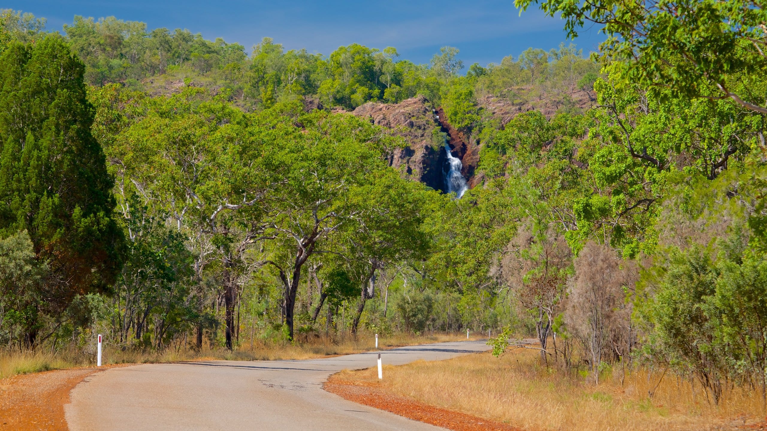 10 TOP Things to Do in Litchfield Park August 2024 Expedia